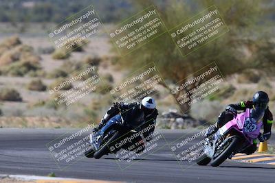 media/Apr-14-2024-SoCal Trackdays (Sun) [[70f97d3d4f]]/1-Turn 5 Tree of Life (920am)/